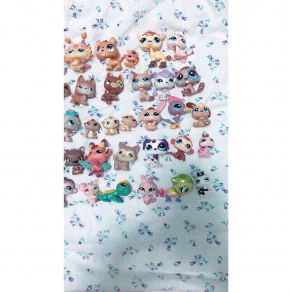 lps - Picture 3 of 4